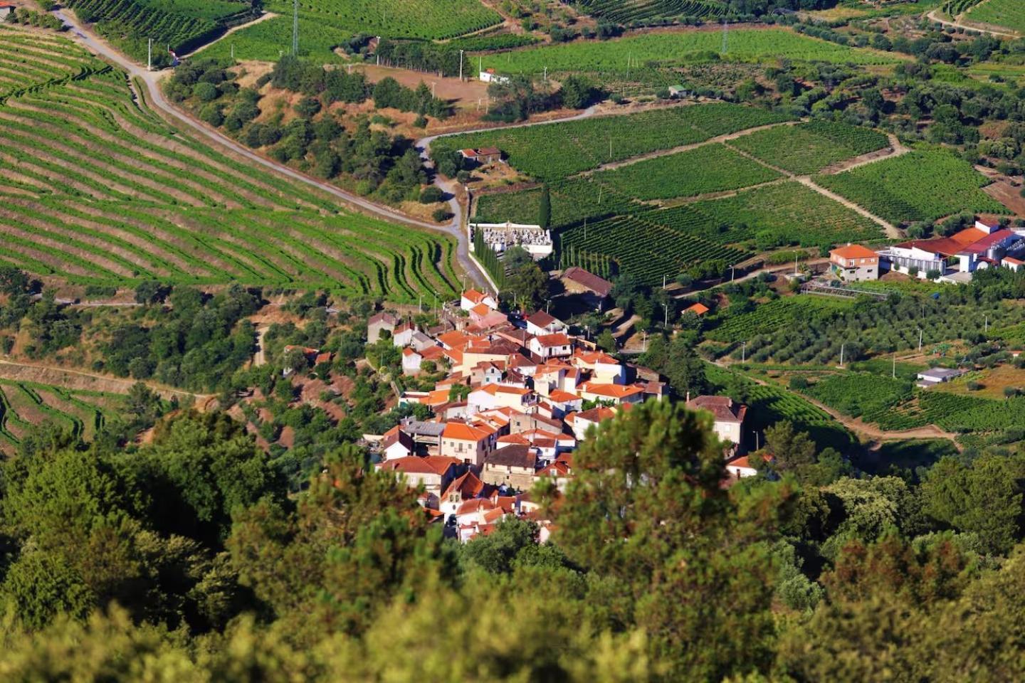 BABhouse Casa das Abelhas - Coração do Douro São João da Pesqueira Exterior foto